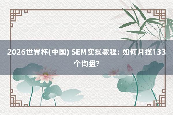 2026世界杯(中國) SEM實操教程: 如何月攬133個詢盤?