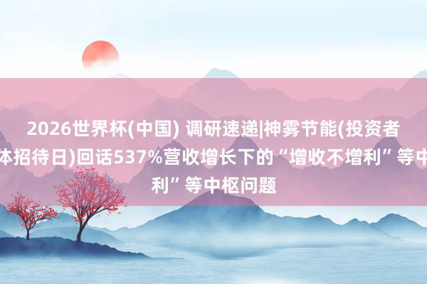 2026世界杯(中國) 調研速遞|神霧節能(投資者網上集體招待日)回話537%營收增長下的“增收不增利”等中樞問題