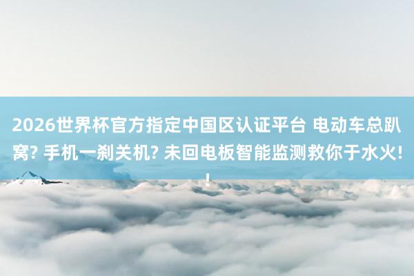 2026世界杯官方指定中國區認證平臺 電動車總趴窩? 手機一剎關機? 未回電板智能監測救你于水火!