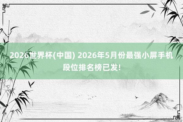 2026世界杯(中國) 2026年5月份最強小屏手機段位排名榜已發!