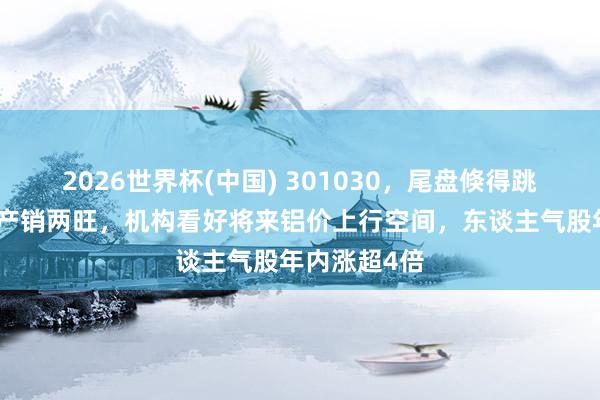 2026世界杯(中國) 301030，尾盤倏得跳水！鋁加工產(chǎn)銷兩旺，機構(gòu)看好將來鋁價上行空間，東談主氣股年內(nèi)漲超4倍