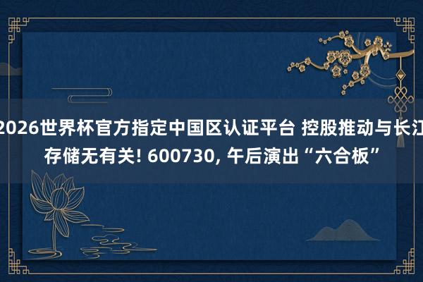 2026世界杯官方指定中國區認證平臺 控股推動與長江存儲無有關! 600730， 午后演出“六合板”