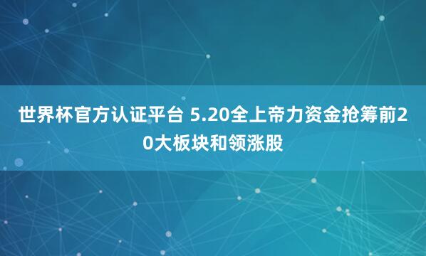 世界杯官方認(rèn)證平臺 5.20全上帝力資金搶籌前20大板塊和領(lǐng)漲股