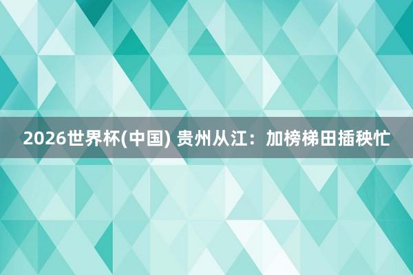 2026世界杯(中國) 貴州從江：加榜梯田插秧忙