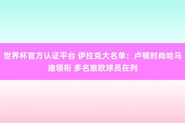 世界杯官方認證平臺 伊拉克大名單:盧頓時尚哈馬迪領銜 多名旅歐球員在列