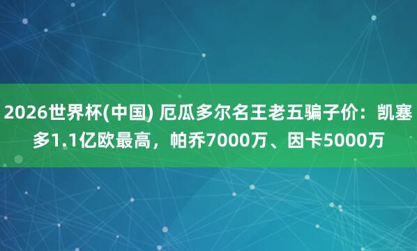 2026世界杯(中國) 厄瓜多爾名王老五騙子價：凱塞多1.1億歐最高，帕喬7000萬、因卡5000萬